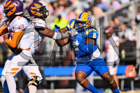 UNHFB_vs_Post_20241102_CM9_8547.jpg 11/02/2024 - New Haven Football vs Post Charge On,Chargers,Clarus Multimedia,Clarus Studios,D2,DII,Get Charged Up,NCAA,NE10,New England,New Haven,New Haven Chargers,Northeast 10,