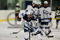 241115_Conn_WHOC_orazzi_5509.jpg 11/15/2024 - Conn College Womens Hockey Connecticut College,Ice Hockey,New London,www.mikeorazzi.com,sports photography,Connecticut,