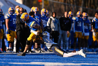 UNHFB_vs_Pace_20241116_CM9_7986.jpg 11/16/2024 - New Haven Football Senior Day vs Pace Charge On,Chargers,Clarus Multimedia,Clarus Studios,D2,DII,Get Charged Up,NCAA,NE10,New England,New Haven,New Haven Chargers,Northeast 10,Pace,Setters,