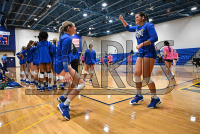 11/19/2024 - New Haven Volleyball vs SNHU - NE10 Quarterfinal