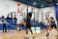 UNH_WBB_vs_Pace_20241120_CM0_2716.jpg 11/20/2024 - New Haven Womens Basketball vs Pace 