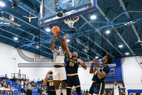 UNH_MBB_vs_Pace_20241120_CM0_3259.jpg 11/20/2024 - New Haven Mens Basketball vs Pace 