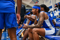NewHaven_MBB_20241126_CM0_4275.jpg 11/26/2024 - New Haven Mens Basketball at Assumption 