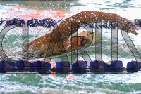 SWIM_Colby_College_and_Connecticut_College_20250120_0285.jpg 01/20/2025 - Conn College Swimming Colby College,College Swimming,Connecticut College,NCAA Swimming,NESCAC,
