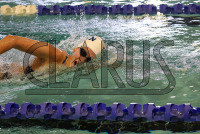 SWIM_Colby_College_and_Connecticut_College_20250120_2441.jpg 01/20/2025 - Conn College Swimming Colby College,College Swimming,Connecticut College,NCAA Swimming,NESCAC,