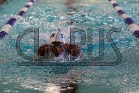 SWIM_Colby_College_and_Connecticut_College_20250120_2637.jpg 01/20/2025 - Conn College Swimming Colby College,College Swimming,Connecticut College,NCAA Swimming,NESCAC,