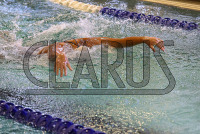 SWIM_Colby_College_and_Connecticut_College_20250120_2706.jpg 01/20/2025 - Conn College Swimming Colby College,College Swimming,Connecticut College,NCAA Swimming,NESCAC,