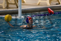 WWP_Wheaton_and_Connecticut_College_20250403_2783.jpg 04/03/2025 - Conn College Womens Water Polo vs Wheaton Connecticut College,Wheaton,