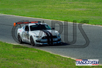 A7408268.jpg 04/23/2025 - TNiA New Jersey Motorsports Park 